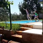 Zelena Kuca- House