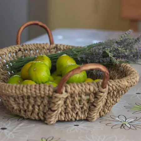 Zelena Kuca- House Liznjan